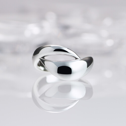 blendringcollection_gravity_ring